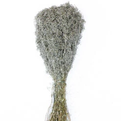 Silver Sparkle Preserved Baby's Breath 24in 4oz Bundle