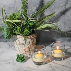 Richland Floating Candles 2" Ivory Set Of 24 9 Richland Floating Candles 2" Ivory Set Of 24 -Candle Glow Deals Store 03384955062 3337 a63f4194 d464 478b 9a86 de948618986e