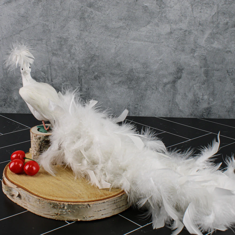 White Feathered Peacock 16in 2 White Feathered Peacock 16in - Image 2