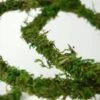 Natural Moss Vine Preserved 12ft