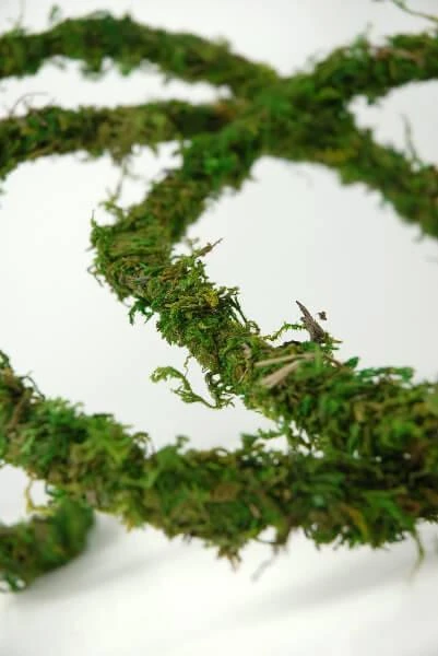 Natural Moss Vine Preserved 12ft 1 Natural Moss Vine Preserved 12ft