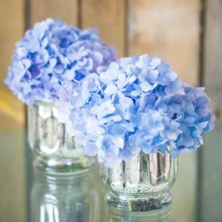 Richland Mercury Venus Jar Silver Set Of 12 -Candle Glow Deals Store 12e789a0 afb2 4b30 bba3 e5d469b5f34c cae1f011 e242 4430 8d07 337aaf95aac2