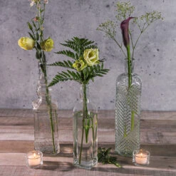 Richland Glass Textured Bottle Set Of 12 9 Richland Glass Textured Bottle Set Of 12 -Candle Glow Deals Store 1322 1323 9643 5948 8a31bb3f 46d6 47ff a4ed 6b52357dca99