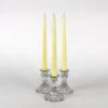 Richland Taper Candles 10" Ivory Set Of 50