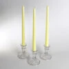 Richland Taper Candles 12" Ivory Set Of 50
