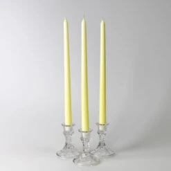 Richland Taper Candles 14" Ivory Set Of 50