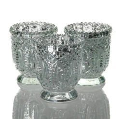 Richland Holder Royal Mercury Petite Silver Set Of 12