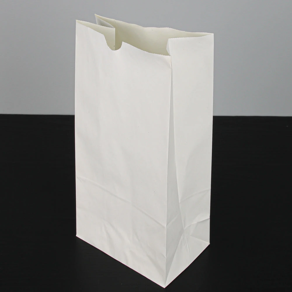 Eastland White Luminary Bags Only Set Of 100 1 Eastland White Luminary Bags Only Set Of 100