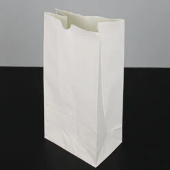 Eastland White Luminary Bags Only Set Of 500