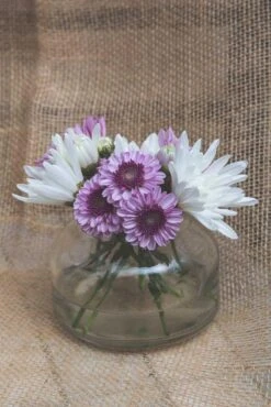 Richland Etta Vase Set Of 48 5 Richland Etta Vase Set Of 48 -Candle Glow Deals Store 1968b 1 1