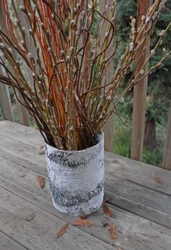 Whitewashed Birch Bark Vase 7x10 -Candle Glow Deals Store 2014 02 17 8680 edited 1