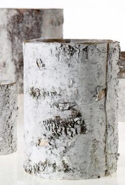 Whitewashed Birch Bark Vase 7x10 -Candle Glow Deals Store 2014 02 17 8680 edited 1 B
