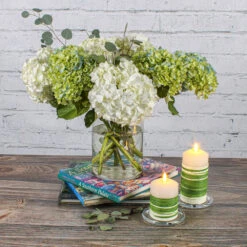 Variegated Aspidistra Leaf 4" Ribbon Green & Cream 50 Yards 10 Variegated Aspidistra Leaf 4" Ribbon Green & Cream 50 Yards -Candle Glow Deals Store 2555 3731 3 a3bee34e 1a5c 4855 825c 44a0644b3d8b