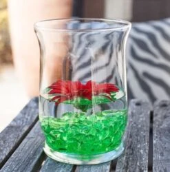 Eastland Adorn Hurricane Vase 6" Set Of 4 -Candle Glow Deals Store 2701 7e2250fa 04de 4270 b48a 018644b9db2d