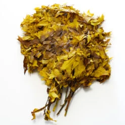 Preserved Oak Branches Golden Browntone -Candle Glow Deals Store 40099901801 2391 2