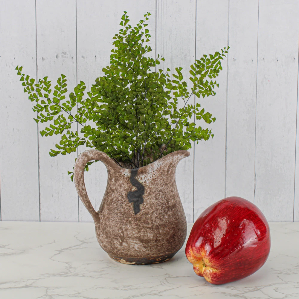 Preserved Fern 5-6 Stems Lutti Adianthum 2 Preserved Fern 5-6 Stems Lutti Adianthum - Image 2