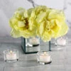 Eastland Tealight Candle Holder Set Of 72