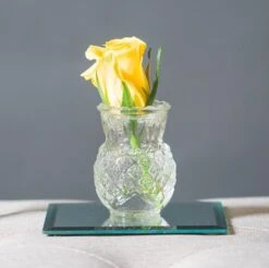 Eastland Square Table Mirror 5" Set Of 72 5 Eastland Square Table Mirror 5" Set Of 72 -Candle Glow Deals Store 5insquare 7cde2cfb 7ad5 4015 97a7 a0480274c20e