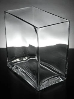Thick Glass Rectangle Vase 7.5" X 8"