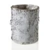 Whitewashed Birch Bark Vase 4.75x6