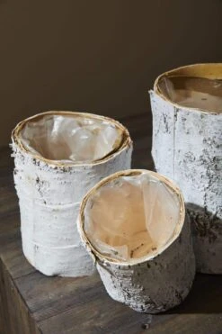 Whitewashed Birch Bark Vase 7x10