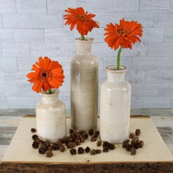 Richland Farmhouse White Ceramic Vase 10" Set Of 12 -Candle Glow Deals Store 91127 91128 91129 6866 ee85c925 dec6 4e83 90f1 58da0e001c36