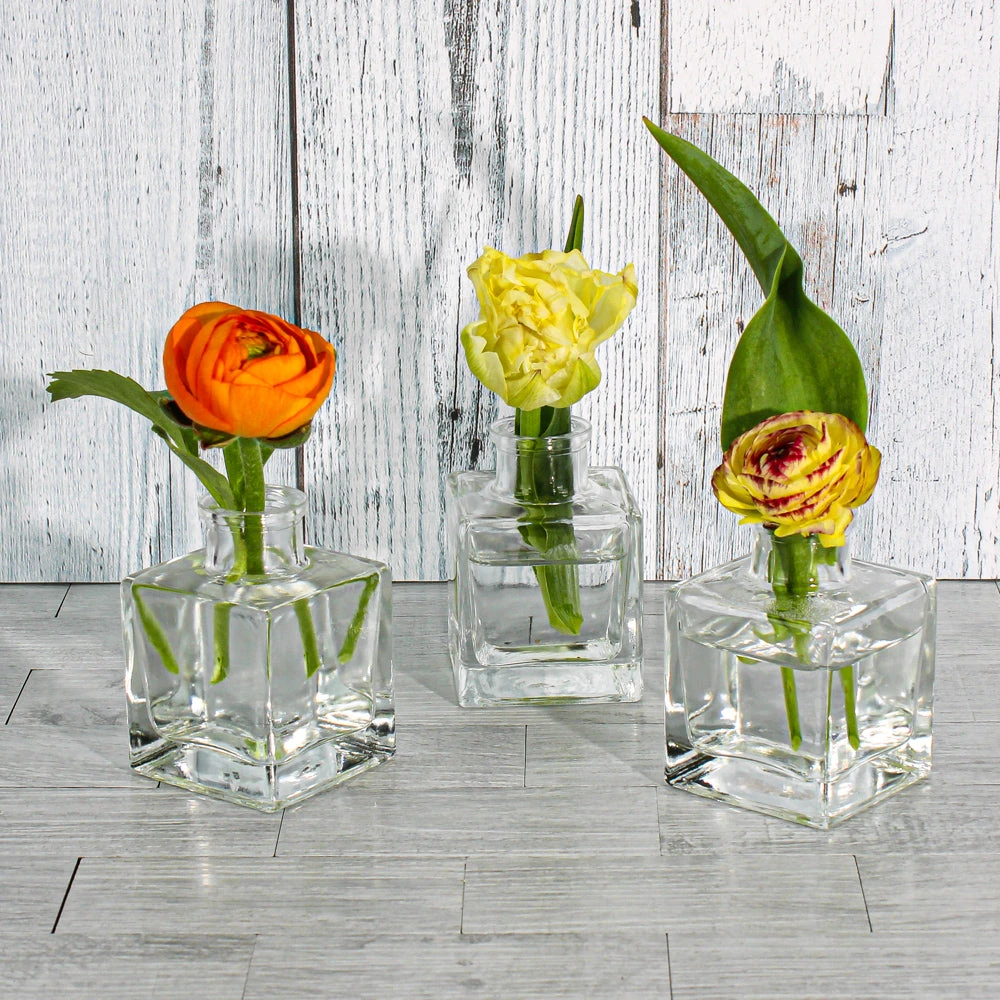 Richland Glass Bud Vase Clear Square Set Of 12 2 Richland Glass Bud Vase Clear Square Set Of 12 - Image 2