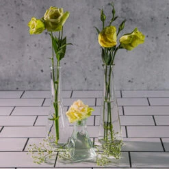 Richland Tempe Bud Vase Set Of 12 -Candle Glow Deals Store 9271 9269 9549 5974 5ac7891e fd5d 4e78 a4e1 a2e9876e6c1e