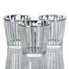 Richland Silver Stripe Glass Holder - Medium Set Of 48
