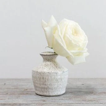 Richland Hari Budvase 3" X 3.5" Set Of 4 2 Richland Hari Budvase 3" X 3.5" Set Of 4 - Image 2