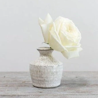 Richland Hari Budvase 3" X 3.5" Set Of 12 3 Richland Hari Budvase 3" X 3.5" Set Of 12 - Image 3