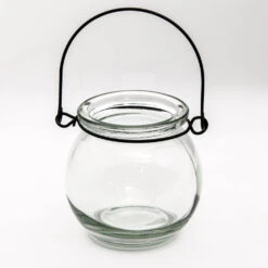 Richland Bubble Hanging Glass Vase Set Of 12