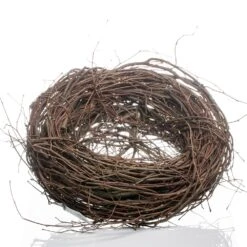 Grapevine Twig 10" Bird Nest Wreath