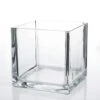 Richland Square Glass Cube Vase 6"