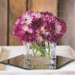 Richland Square Glass Cube Vase 5" Set Of 12 11 Richland Square Glass Cube Vase 5" Set Of 12 -Candle Glow Deals Store 967a0145 1