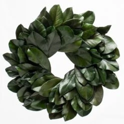 Richland Preserved Magnolia Wreath 17" Set Of 6