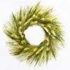 Richland Preserved Willow Wreath 14" Set Of 6