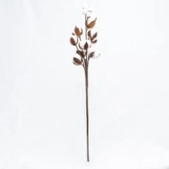 Richland Cotton Stalk 26" Set Of 24 -Candle Glow Deals Store 967a0384 edit 1