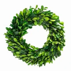Richland Preserved Boxwood Wreath 8”