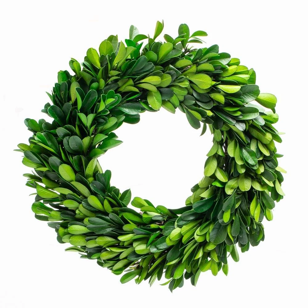 Richland Preserved Boxwood Wreath 8” 1 Richland Preserved Boxwood Wreath 8”