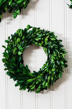 Richland Preserved Boxwood Wreath 8” 7 Richland Preserved Boxwood Wreath 8” -Candle Glow Deals Store 967a0407