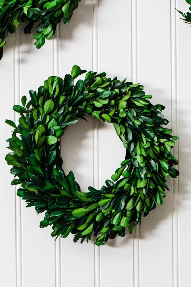 Richland Preserved Boxwood Wreath 8” 3 Richland Preserved Boxwood Wreath 8” - Image 3