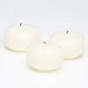 Richland Floating Candles 2" Light Ivory Set Of 24