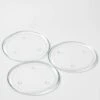 Richland Round Glass Pillar Plate 8" Set Of 16