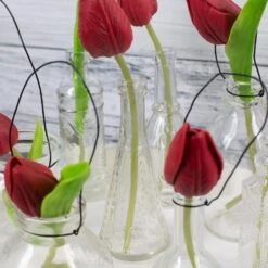 Richland Vintage Dotted Bud Vase Set Of 12 5 Richland Vintage Dotted Bud Vase Set Of 12 -Candle Glow Deals Store 967a5662 1