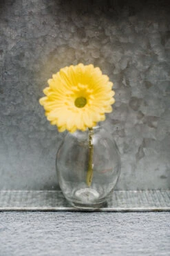 Richland Finney Bud Vase Set Of 12 7 Richland Finney Bud Vase Set Of 12 -Candle Glow Deals Store 967a6686 1