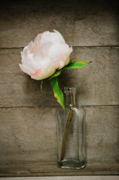 Richland Effie Bud Vase Set Of 12 -Candle Glow Deals Store 967a6700 1