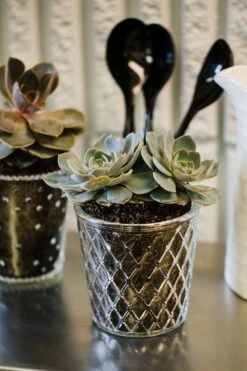 Richland Tipper Vase & Candle Holder Set Of 12 5 Richland Tipper Vase & Candle Holder Set Of 12 -Candle Glow Deals Store 967a6703 1