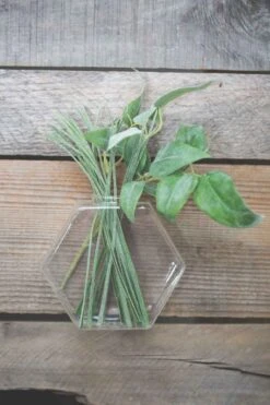 Richland Hoyt Wall Vase Set Of 6 5 Richland Hoyt Wall Vase Set Of 6 -Candle Glow Deals Store 967a8688 1