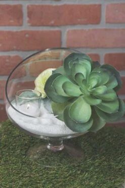 Richland Vira Footed Terrarium Set Of 4 5 Richland Vira Footed Terrarium Set Of 4 -Candle Glow Deals Store 967a9834 edit 1